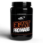 Gigant Pro Mass 1470 g / 3000 g (Įvairių skonių)