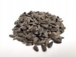 Nelukštentos saulėgrąžos daiginimui (mažos) 500g / 1000g