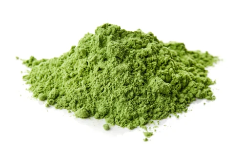 BROCCOLI-yerbamate