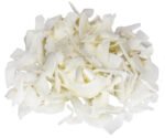 bio-chipsy-kokosowe-badapak_top
