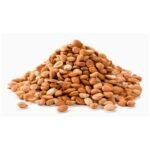 bitter-apricot-kernels