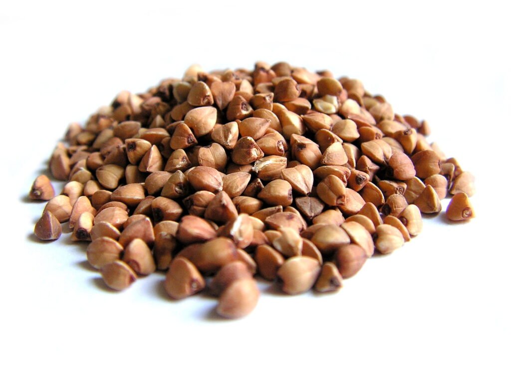 grikiai-yerbamate