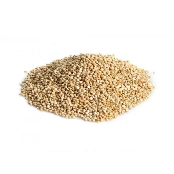 quinoa-seeds-chenopodium-quinoa