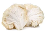 the-benefits-of-lions-mane-for-acne-828439_1600x