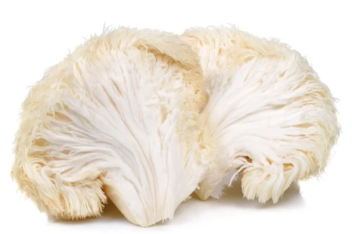 the-benefits-of-lions-mane-for-acne-828439_1600x