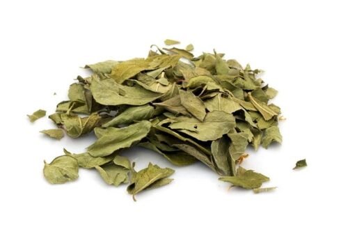 yerba-mate-curry