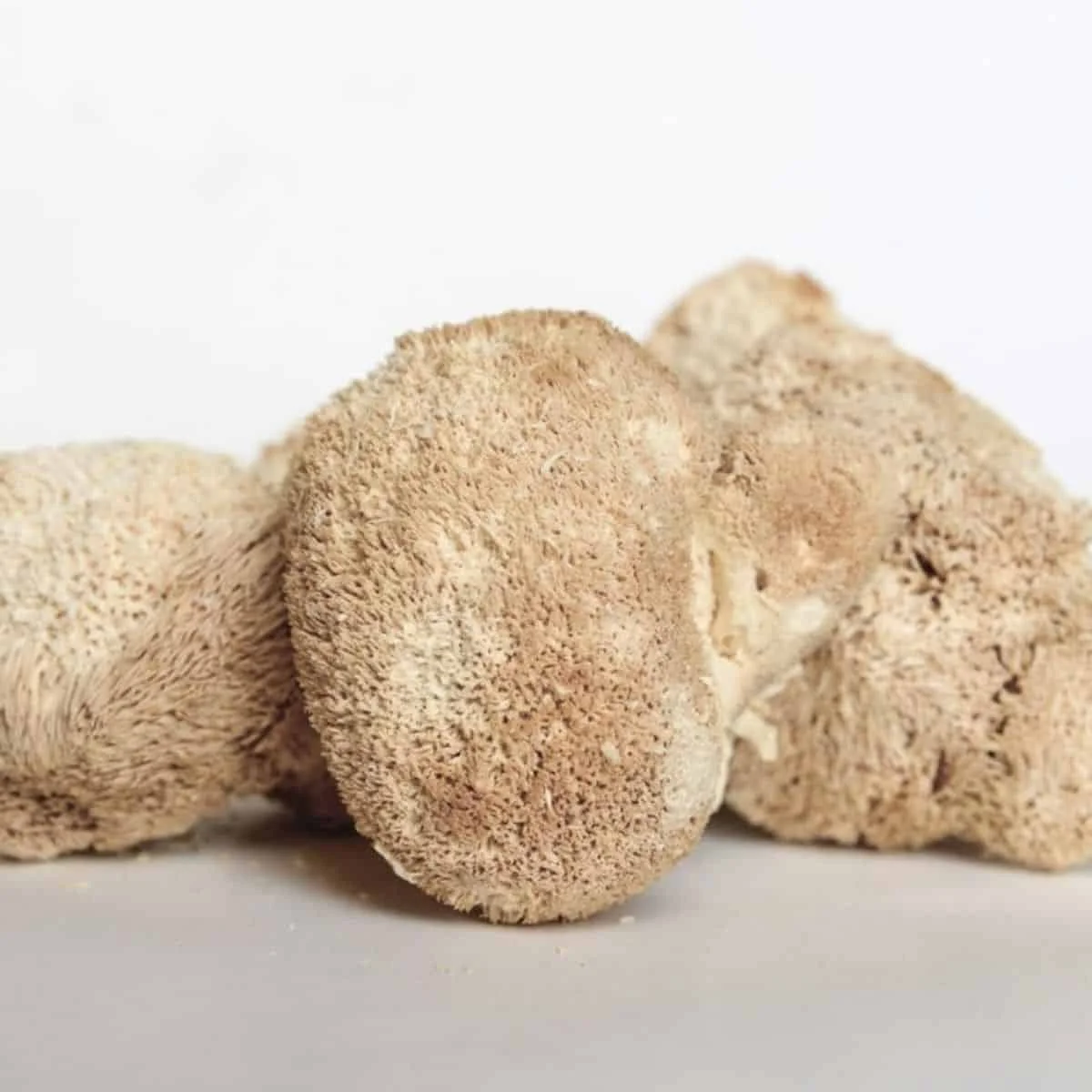 Džiovinti liūto karčių grybai Lion’s Mane (Hericium erinaceus) 100g