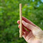 Miswak dantų šepetėlio pagaliukas