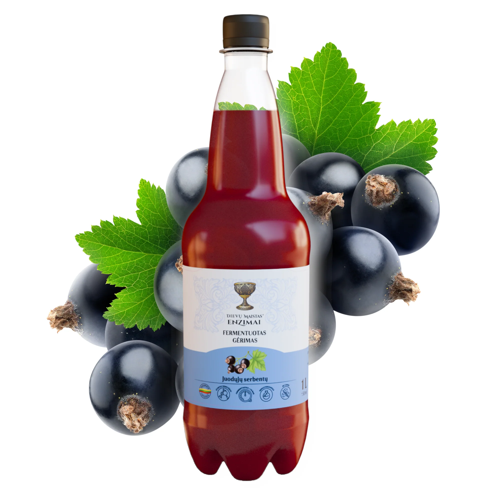 Juoduju_serbentu_fermentuotas_gerimas Juodųjų serbentų fermentuotas gėrimas